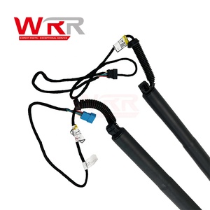 51247339431 51247339432 Elevador de Puerta Trasera para BMW F26 X4, Amortiguador Eléctrico Premium y Duradero para Maletero, Soporte de Actuador - Product Image 5