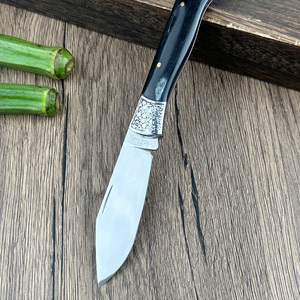 Coltello Pieghevole da Campeggio con Lama 5CR Affilata, Manico in Legno, Coltello Portatile da Cucina e per Frutta - Product Image 2