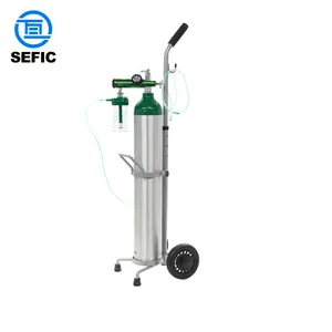 Tabung oksigen SEFIC silinder, tabung medis seri ME tabung oksigen aluminium tekanan tinggi DOT standar