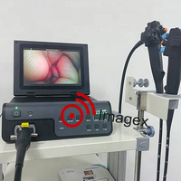 Équipement d'endoscopie vidéo gastrique et vétérinaire, coloscopie