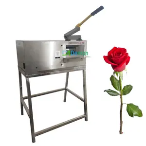 Máquina de eliminación de hojas de espina rosa, cortador de ramas de flores, máquina de eliminación de tallo de hoja de rosa, buen precio