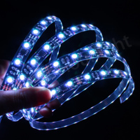 Bande lumineuse LED à éclairage latéral DC12V, flexible et adressable, pour application paysagère