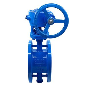 DN800 PN16 Cast Iron Flange Manual Power Supply Water ANSI As JIS UNI ISO DIN Standard - Product Image 6