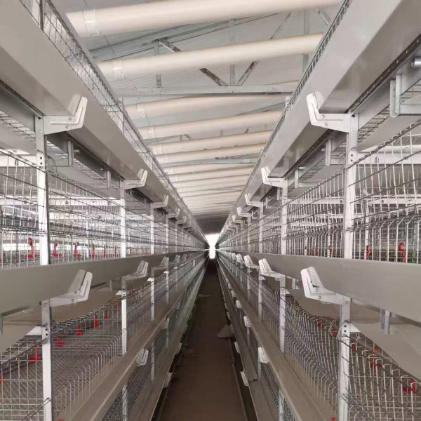 Wholesale Hot Sale Fully Automatic Multi