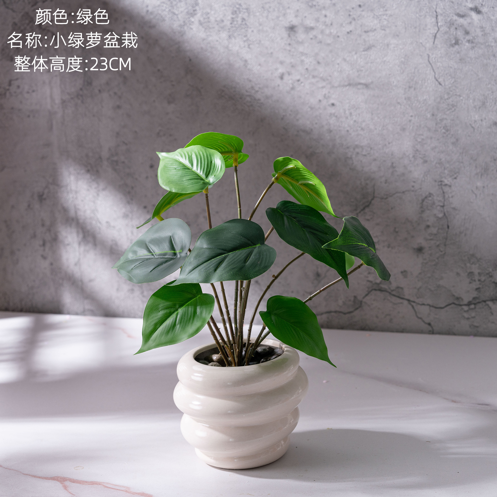 Petit lierre vert en pot