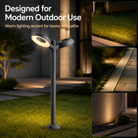 Projecteur LED intelligent 24W pour aménagement paysager, double tête réglable, lumière chaude, ambiance esthétique pour sculpture d'art et parc – Vente directe usine