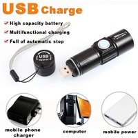 Lampe de poche LED rechargeable par USB 4 modes de travail Zoom 395NM pour vérification des pierres précieuses Lampe à urine pour animaux de compagnie