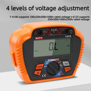 Mégohmmètre numérique haute précision NJTY T6110 2500V 200G - Product Image 3