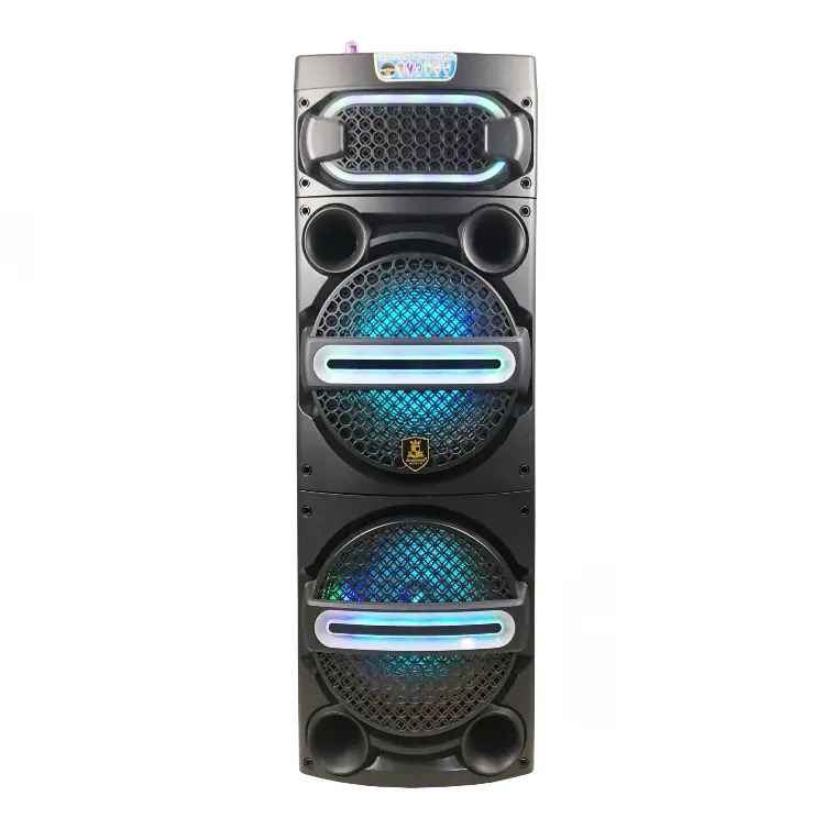 12 inch dual 60W led outdoor audio bass system with microphone portable wireless trolley speaker