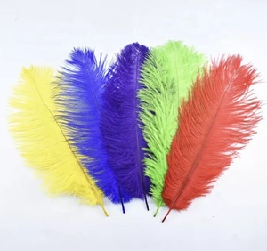 Vente en gros de plumes d'<span class=keywords><strong>autruche</strong></span> blanches naturelles pour décoration d'intérieur de festival de mariage 15-20cm - Product Image 1