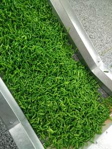 Prix direct usine IQF 1kg <span class=keywords><strong>légumes</strong></span> naturels purs personnalisés sains sans additifs haricots verts congelés - Product Image 3