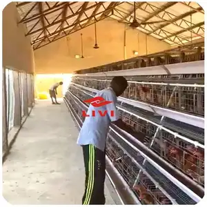 Best Quality Good Price Egg Laying Hens Farming Chicken Layer Battery Cage for sale