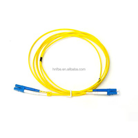Harga Pabrik Kabel Patch SM G652D Konektor ST/FC/SC/LC Low Loss untuk CATV Diameter 0.9/2.0/3.0mm 1M 3M Panjang Kustom PVC/LSZH