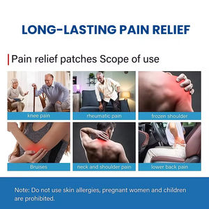 Vente flash : Patch analgésique à base de plantes Centipède, soulagement de la douleur musculaire et articulaire lombaire, autocollants, durée de conservation de 2 ans - Product Image 4