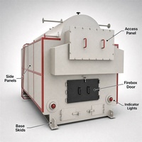 Chaudière à vapeur horizontale à biomasse et charbon de bois 3,8 T/h, automatique, haute pression, à tubes d'eau, pour usage industriel
