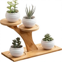 Support à plantes moderne en bambou à 3 niveaux - Étagère de fenêtre intérieure et support de table pour plantes |   Support à fleurs pour rebords de fenêtre