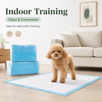 Almohadillas de Entrenamiento para Cachorros Personalizadas, Ecológicas, Suaves, Acolchadas, Súper Absorbentes, de Secado Rápido, a Prueba de Fugas, Suministro al por Mayor OEM