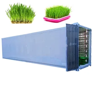 40 HQ Hydro ponics Futters ystem Container für Farm Hydro ponic Growing Systems Futter