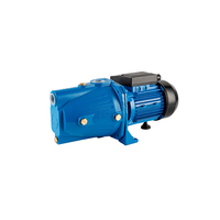 Usine personnalisée meilleur prix 1HP 0.75kW Jet série pompes automatiques moteur électrique pompe à eau de surface à tête haute pour le ménage