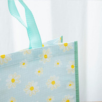 Sac d'épicerie non tissé pliable et réutilisable avec impression écologique personnalisée sac fourre-tout tissé PP laminé RPET