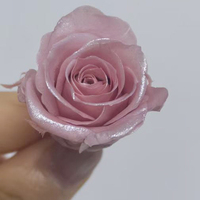 Roses éternelles miniatures, rose nacré, 1-2 cm, 24 pièces, 21 pièces 2-3 cm, qualité supérieure, roses éternelles multicolores, cadeau de fleurs naturelles pour elle