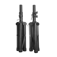 Système de sonorisation professionnel amplifié 2x15 pouces 1000W en plastique, sans fil, pour intérieur/extérieur, idéal pour fêtes, DJ et karaoké