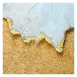 Fourrure naturelle 100% peau de mouton doublure peaux de mouton salées humides - Product Image 3