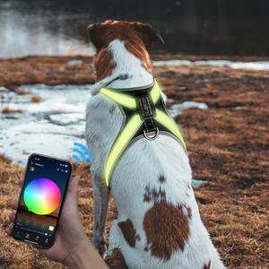 CD1118 APP için LED ışık dostu bez orta ölçekli köpek koşum lüks spor stil Golden Retriever <span class=keywords><strong>Training</strong></span> eğitim - Product Image 3
