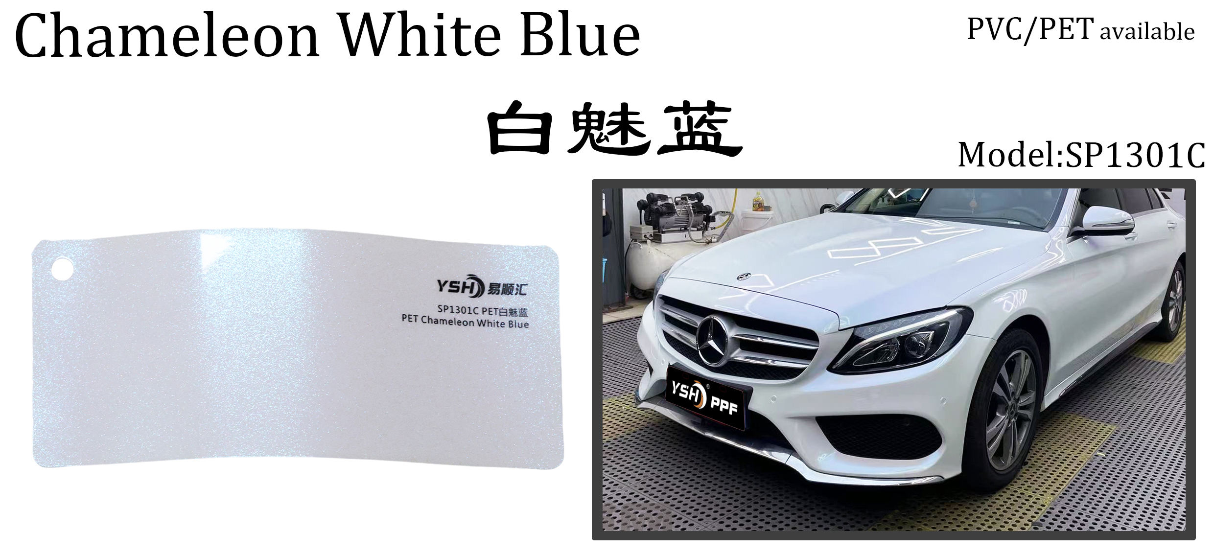 camaleón blanco azul