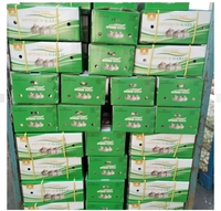 Ail Frais Nouvelle Récolte Chinoise - Ail Blanc Normal et Ail Blanc Pur Disponible Chez le Fabricant d'Ail en Gros