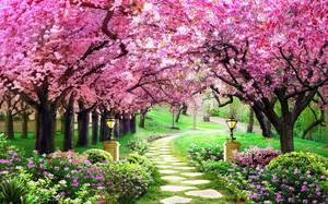 Papier peint paysage 3d Living Room Sofa Tv Fond d'écran Cherry Blossom Forest Pastoral Film And <span class=keywords><strong>Television</strong></span> Wall <span class=keywords><strong>Mural</strong></span> - Product Image 5