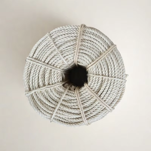 <span class=keywords><strong>Corde</strong></span> en <span class=keywords><strong>sisal</strong></span> torsadée naturelle blanche, durable, pour décoration de jardin, récupération extérieure, bricolage, griffoir pour <span class=keywords><strong>chat</strong></span> - Prix usine, populaire - Product Image 2