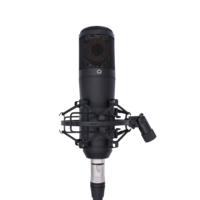 Précision Pro Audio EM-1300 Offre Spéciale Nouveau Design Podcast XLR Mic Professionnel Studio Enregistrement Microphone À Condensateur Noir Ce Filaire