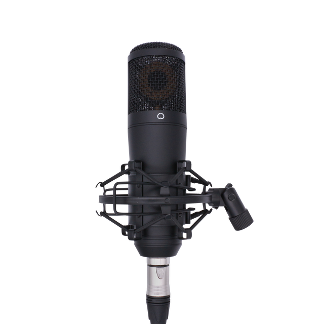 Accuracy Pro Audio EM-1300 Hot Sale New Design Podcast XLR Mic Professional Studio Recording Condenser Microphone Black Ce Wired