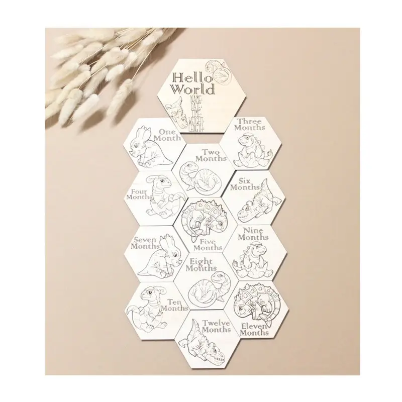 Dino recién nacido Hola Mundo nacimiento signo hexagonal bebé guardería madera hito tarjetas fotografía accesorios ducha regalo conjunto