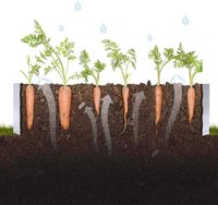 Le rectangle en acier galvanisé par couleur argentée a augmenté le planteur de lit de jardin pour des plantes de fruits de légumes