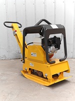 Compacteur vibrant de sol 160 kg réversible diesel/essence avec plaque de compactage haute efficacité pour routes