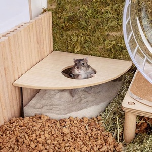 Boîte de bain de <span class=keywords><strong>sable</strong></span> en acrylique pour petits animaux de compagnie-Conteneur de creusement en forme de triangle pour hamsters, gerbilles, souris et lemmings - Product Image 4