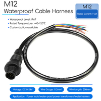 Faisceau de câbles étanche M12 IP67 0,2 mm² 200 mm, connecteur de fils multiconducteurs pour équipement industriel
