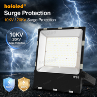 Hofoled 5 ans de garantie projette IP65 SMD Commercial 50W 100W 150W 200W 300W 400W Projecteur extérieur à LED pour salle de sport de stade