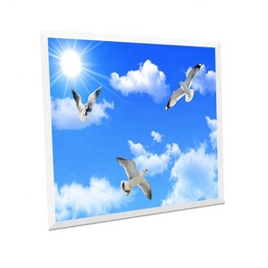40W Blue Sky Cloud <span class=keywords><strong>Led</strong></span> <span class=keywords><strong>pannello</strong></span> luminoso 600x600 300x1200 ultra sottile <span class=keywords><strong>pannello</strong></span> <span class=keywords><strong>Led</strong></span> <span class=keywords><strong>da</strong></span> <span class=keywords><strong>incasso</strong></span> luce <span class=keywords><strong>LED</strong></span> <span class=keywords><strong>pannello</strong></span> del soffitto del cielo - Product Image 1