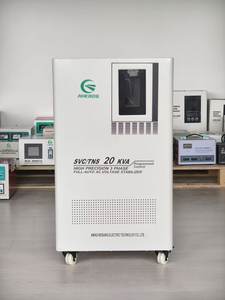 Stabilisateur de tension triphasé 40 kVA à enroulement en cuivre TNS CE ISO pour petite usine de transformation alimentaire mexicaine - Product Image 2