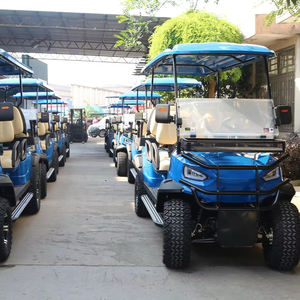 Auto Elettrica da Golf 2025 a 4 Posti con Batteria al Litio, Carrello da Golf Fuoristrada in Acciaio - Product Image 6