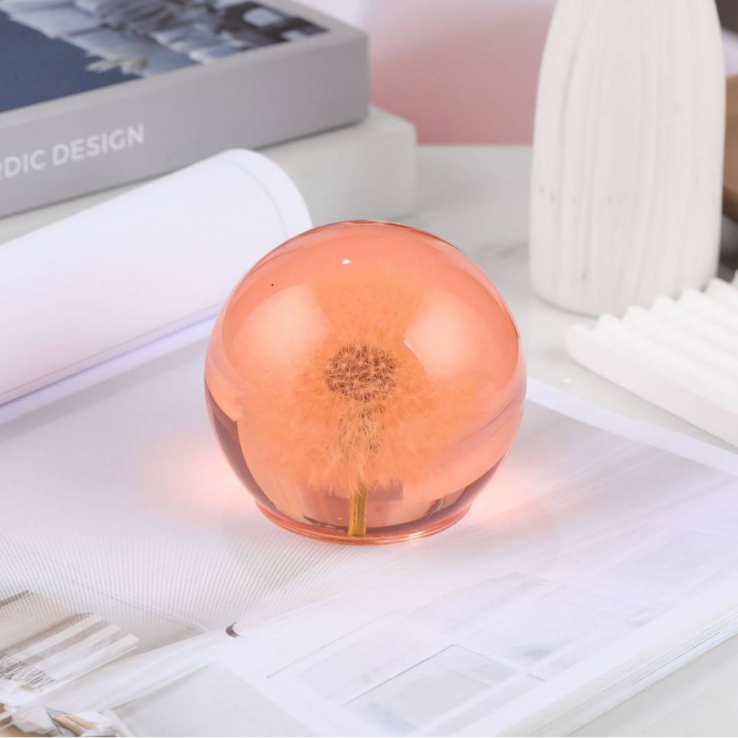 Single pink dandelion