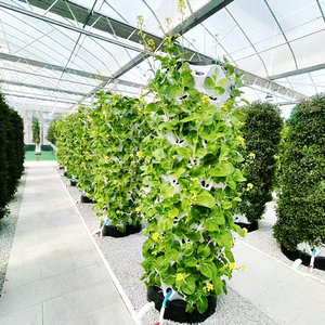 Innovative Hydroponic Flood and Drain Hydroponics <strong>System</strong> <strong>Vertical</strong> - Product Image 4