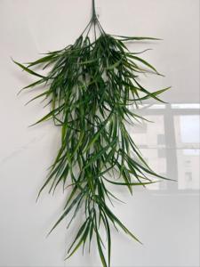 Großhandel Künstliche Zwiebelgras-Hängestreifen Weidenranken Efeu-Blätter Wanddekoration Heim-Garten-Dekor Künstliche Grünpflanzen - Product Image 6
