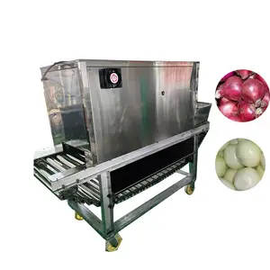 Hot sale chain onion peeling machine/ onion peel removing peeling machine / stainless steel onion peeling machine