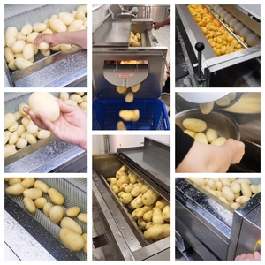 <span class=keywords><strong>Casava</strong></span>-éplucheur de patates Pela Maquina Peladora De Papas Machine à laver industrielle pour fruits et légumes - Product Image 3
