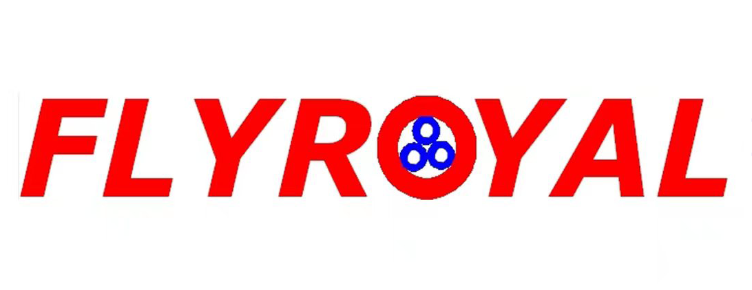 Dong Guang Flyroyal Electrical Factory logo