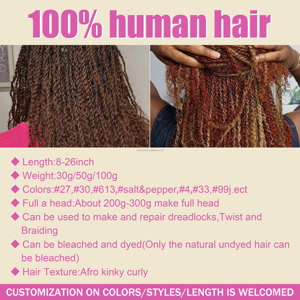 ANNA Custom Fashion Idol Hairstyle Afro Kinky Boho Trenzado Locs Extensiones de cabello humano para rendimiento comercial - Product Image 5